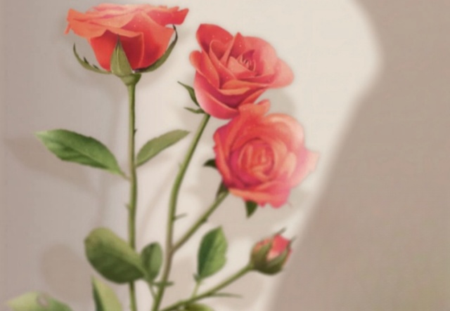 祝天下女神們節(jié)日快樂！?。? ></a>
                        <a href=